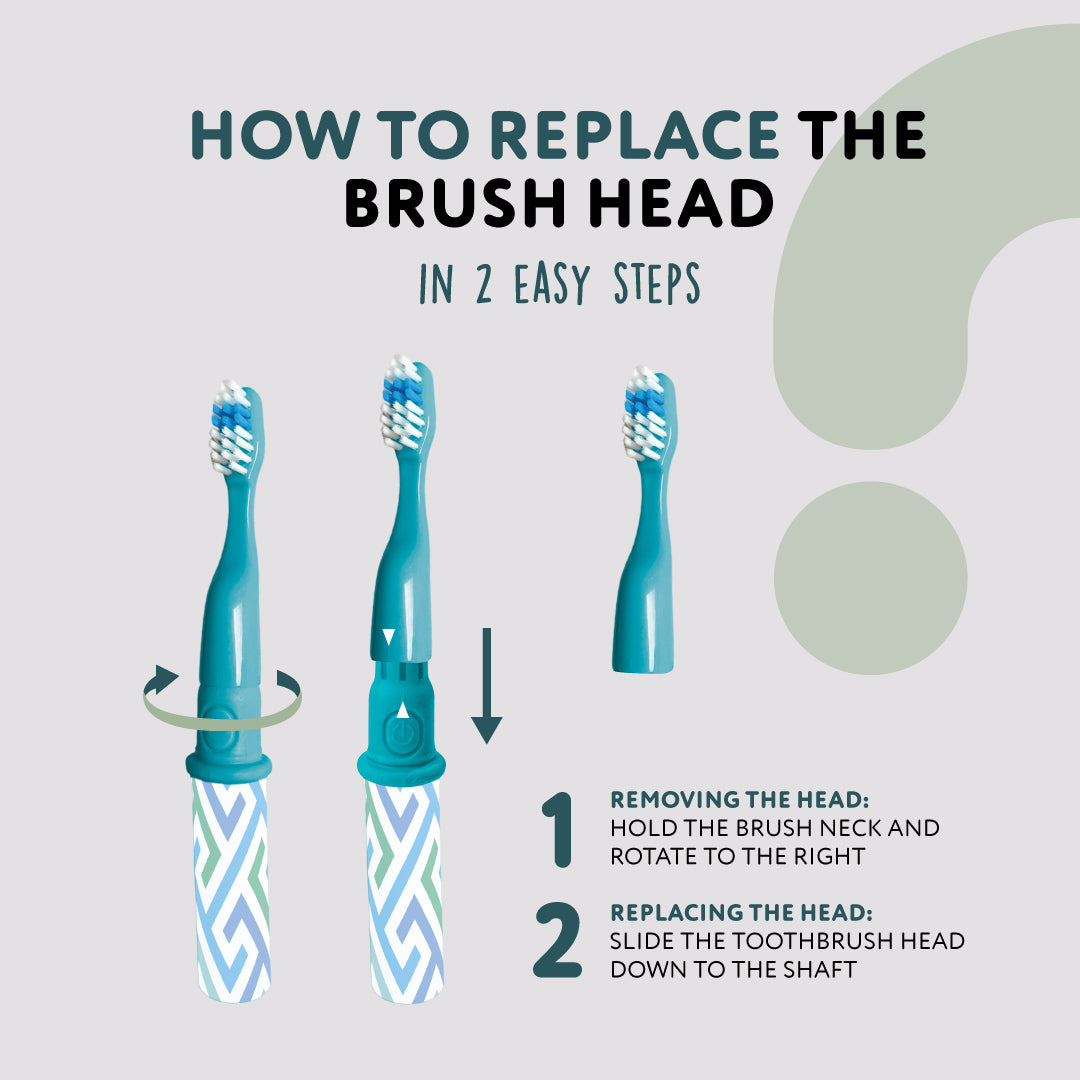 Family Toothbrush