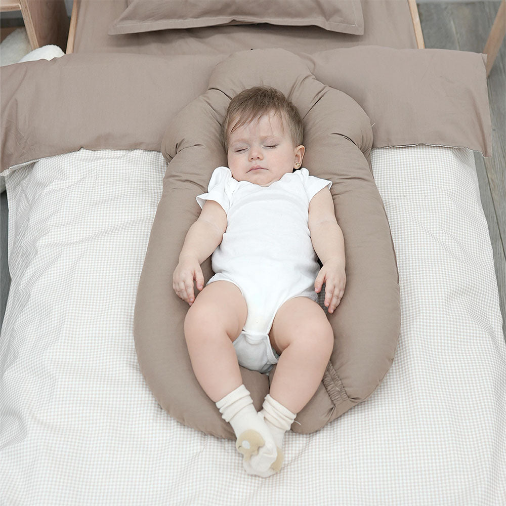 2 in 1 Huggable Pillow